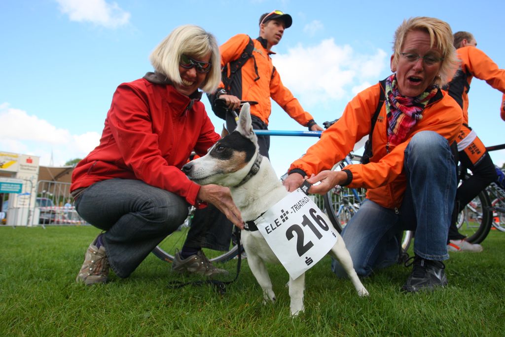 Einteilung der Läufe beim ELE-Triathlon 2025 abgeschlossen